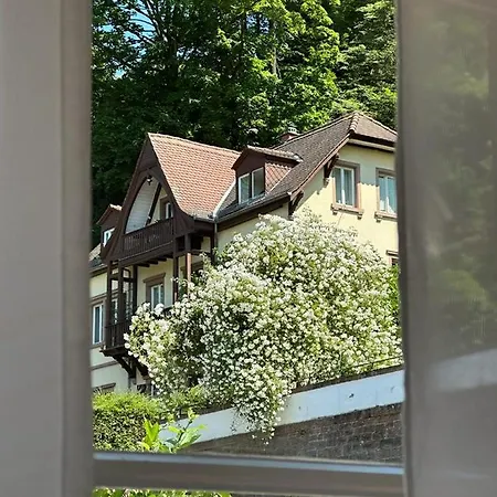 Affittacamere Burgfreiheit Heidelberg